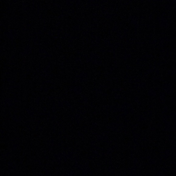 Meet your Posher, Phyllie - Picture 1 of 1